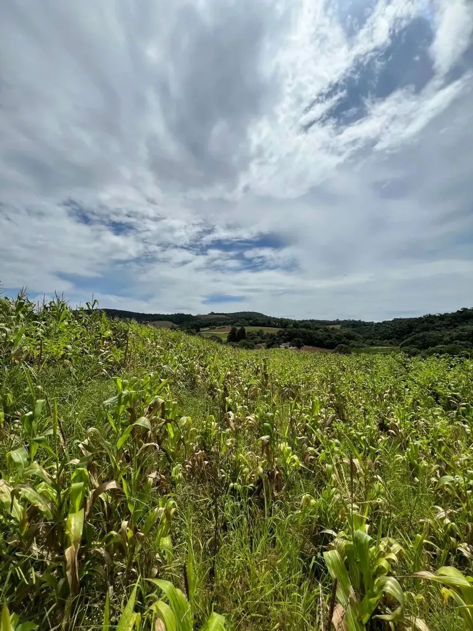 Pré-Lançamento de Terrenos em Ibiúna com Condições Especiais - Foto 11