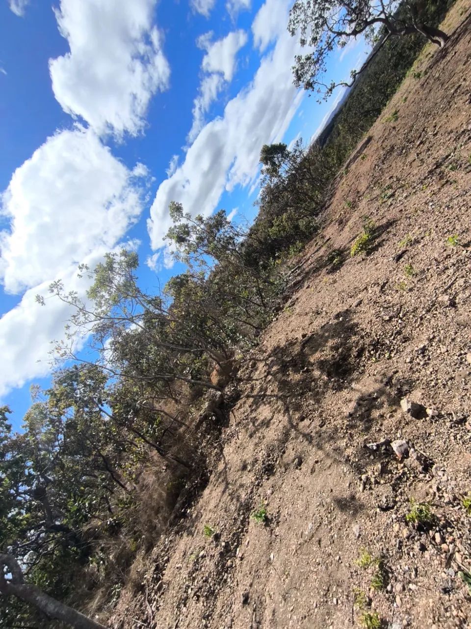 Lote 5000 metros em jaboticatubas  - Foto 5