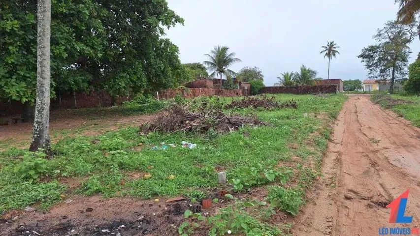 Terreno em Barra do Cunhaú - Foto 3