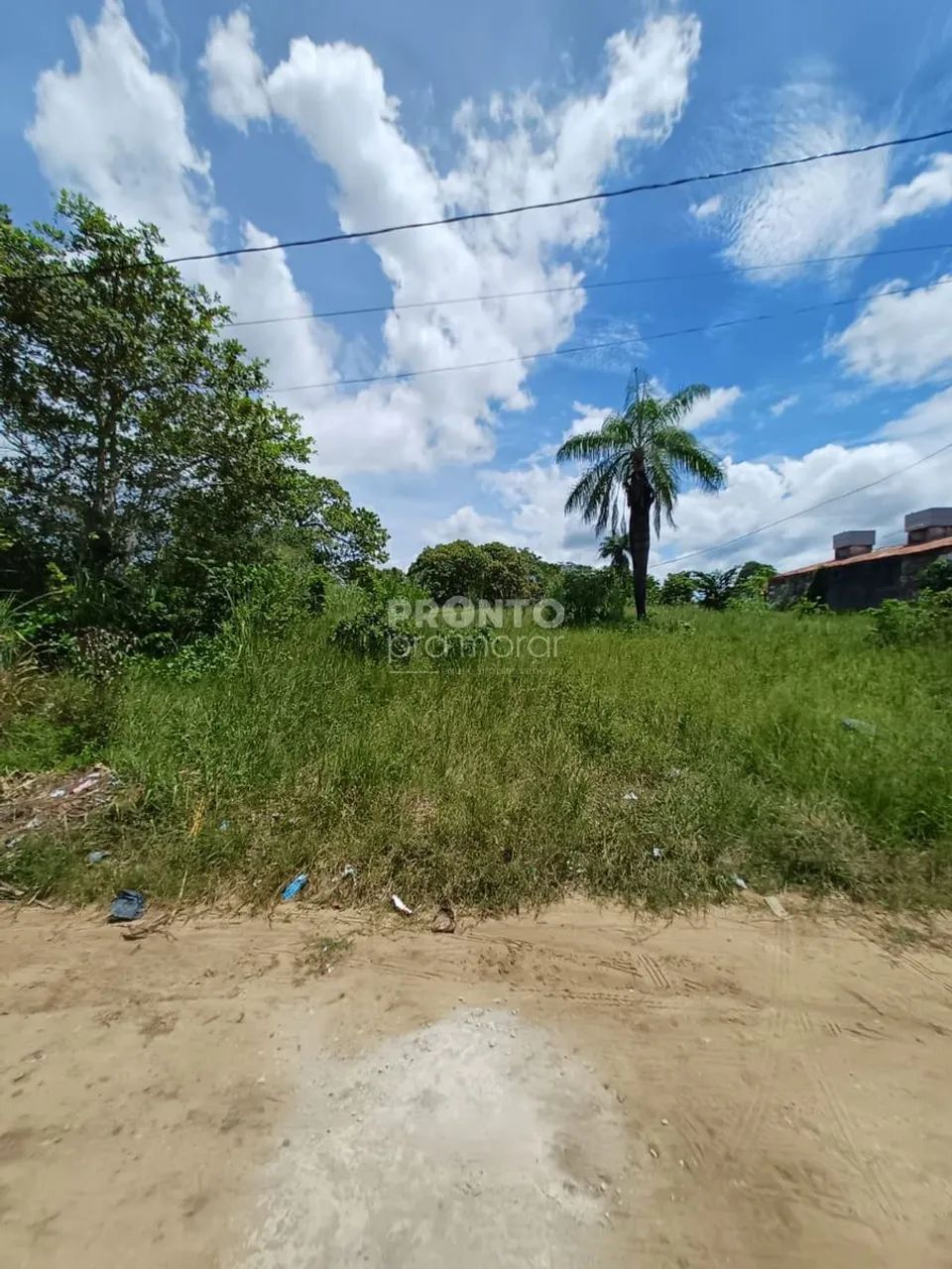 Lote/Terreno/Condomínio em Itapissuma - Foto 3