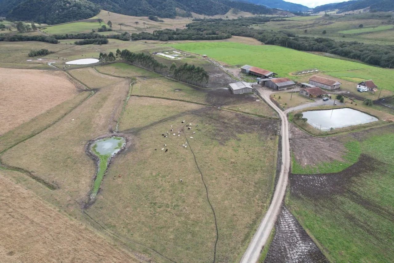 Terreno 206 hectare 