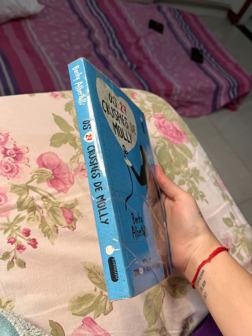 livro os 27 crushes de molly