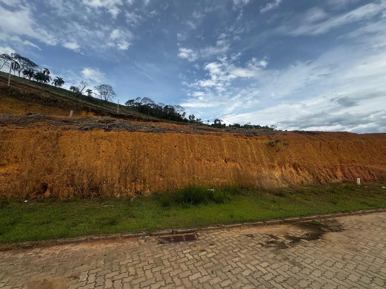 Lote / Terreno - Salvaterra
