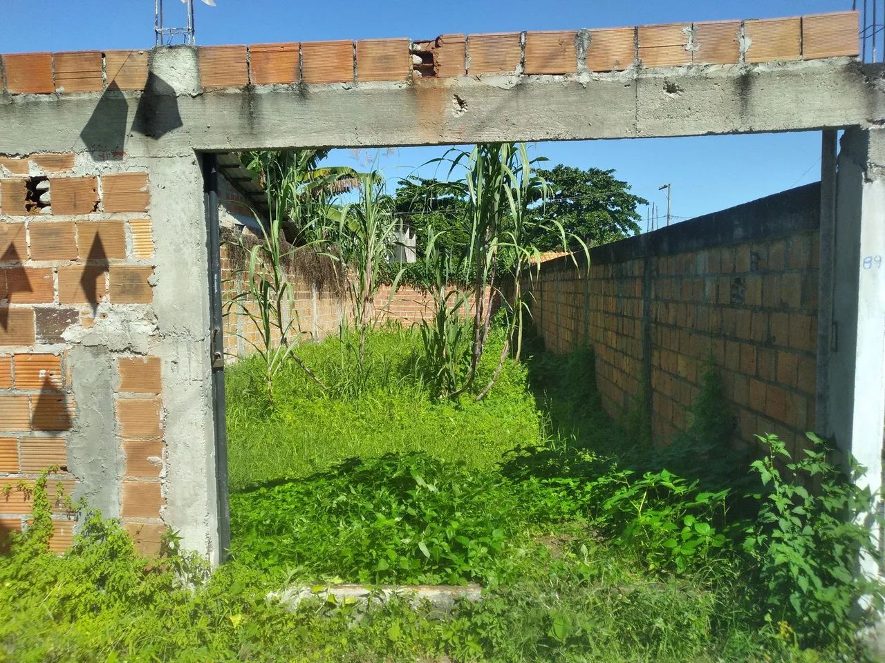 Ccondomínio fechado , murado . - Foto 3