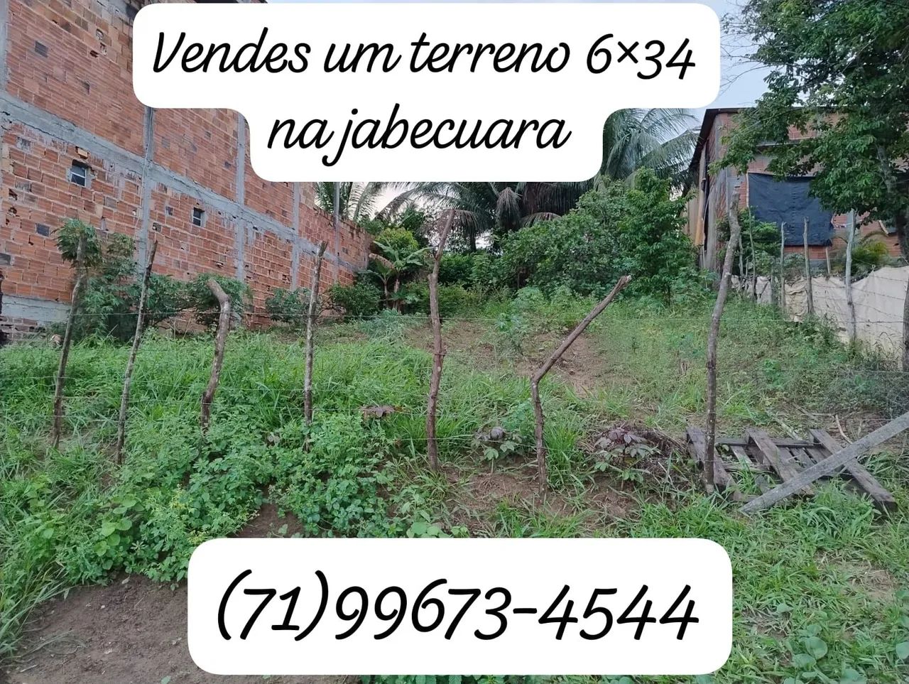 Foto - São Francisco do Conde - 