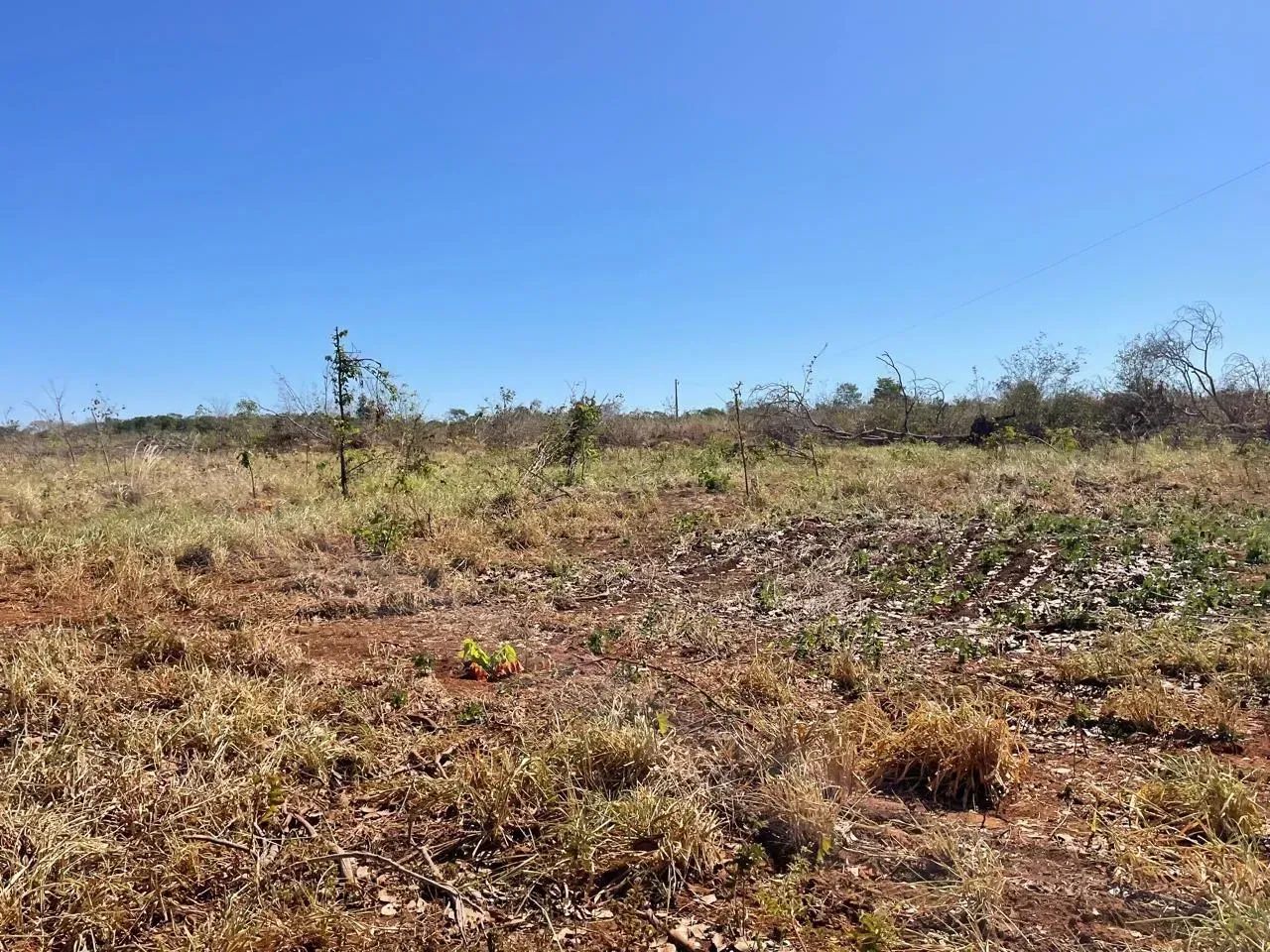 Fazenda a venda em Fatima Tocantins, oportunidade! - Foto 3