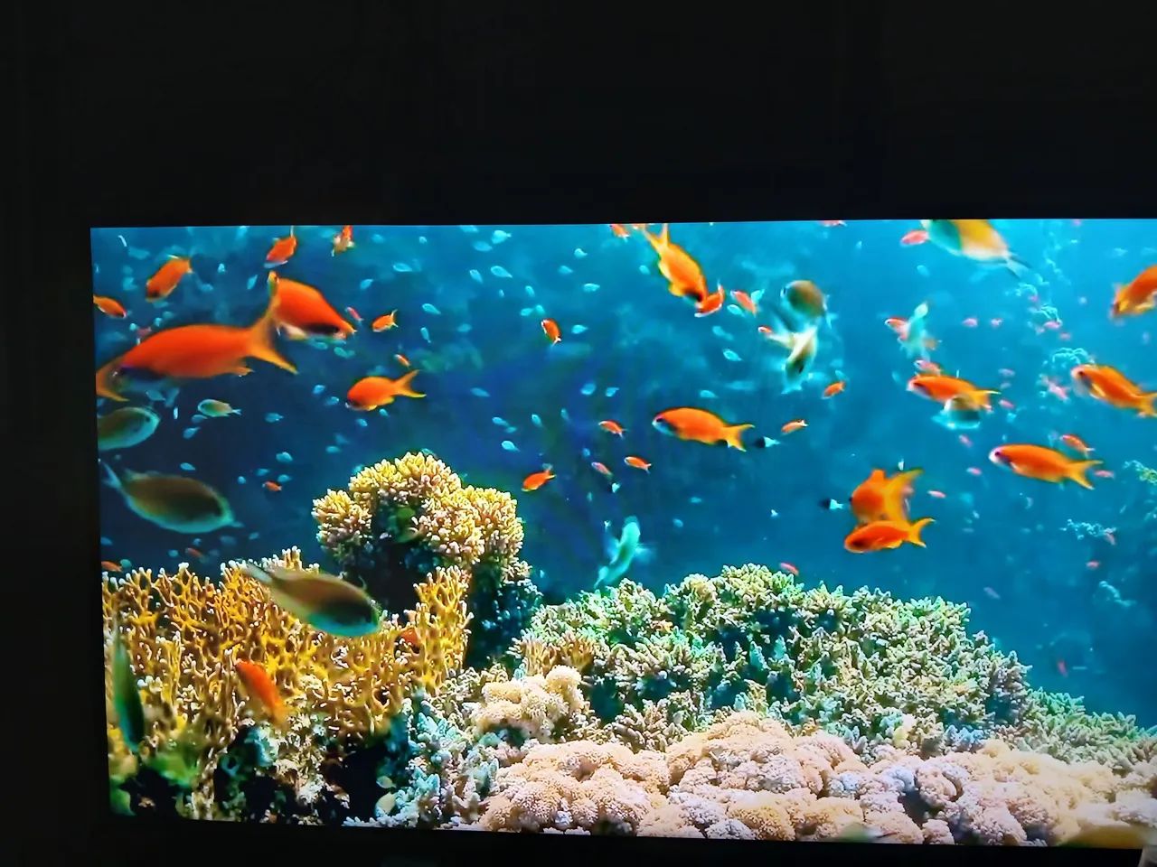 Oportunidade TV 43 polegadas Novíssima  - Foto 2
