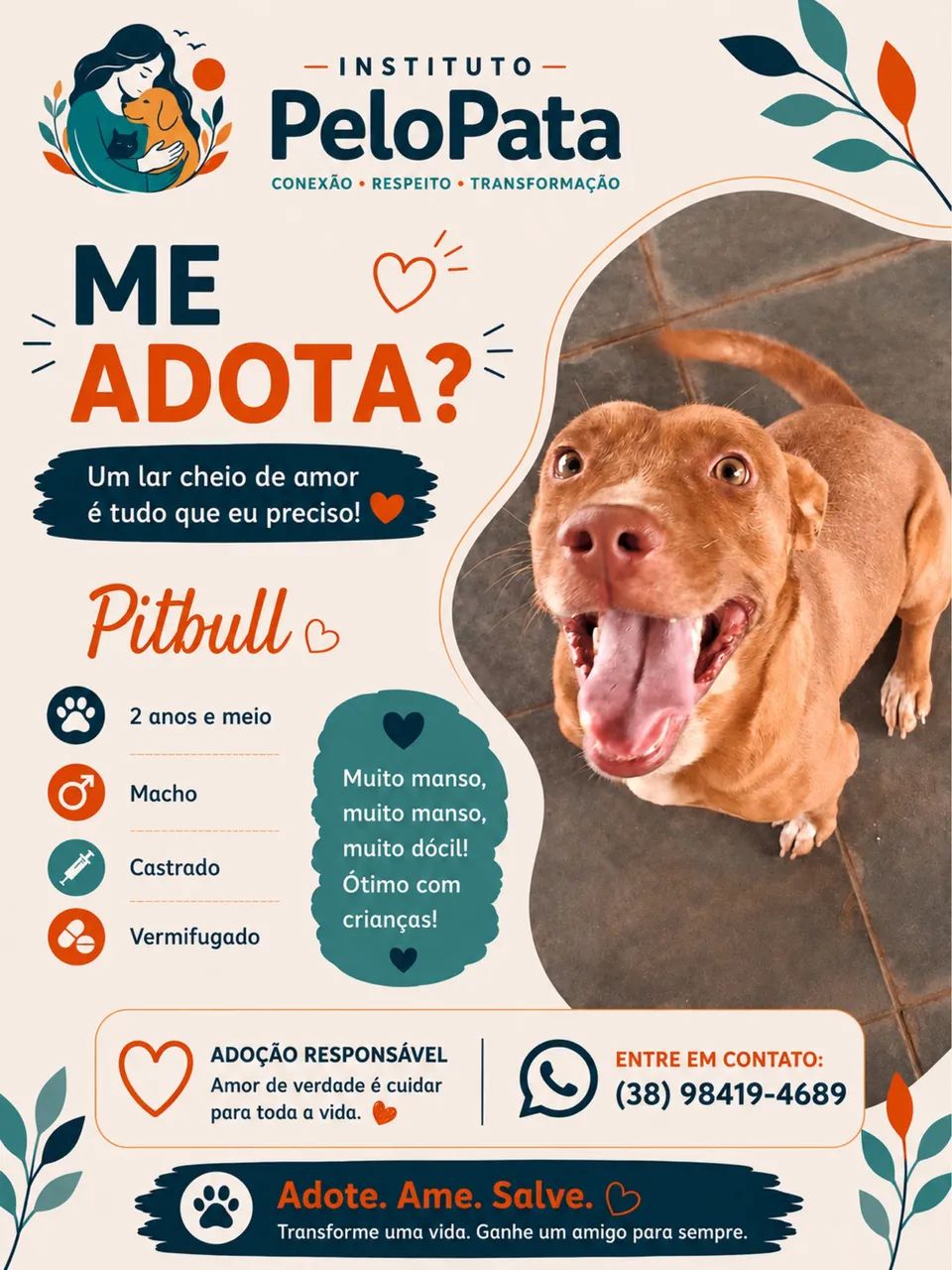 Adote Pity
