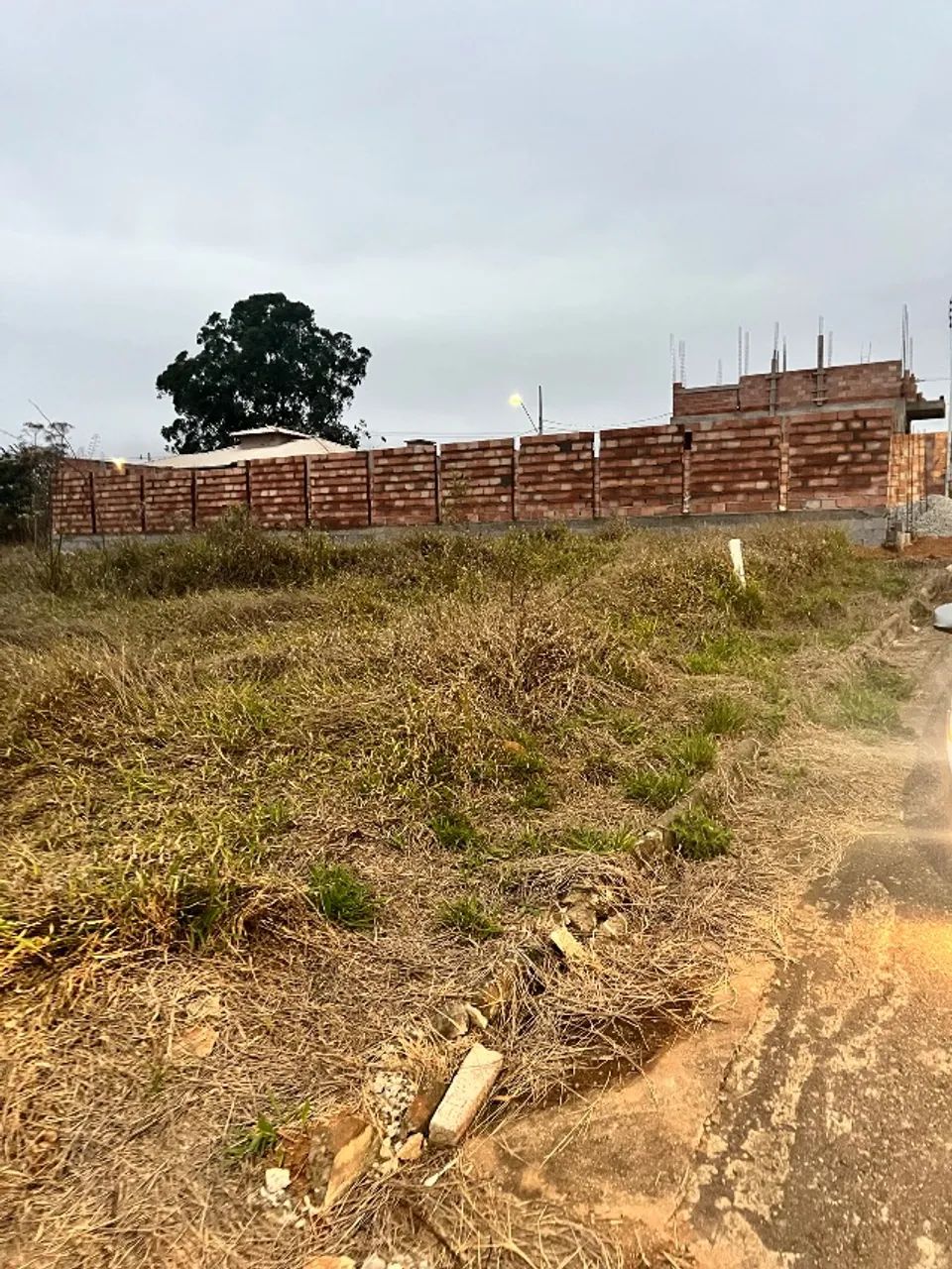 Lote em Crucilândia - Foto 5