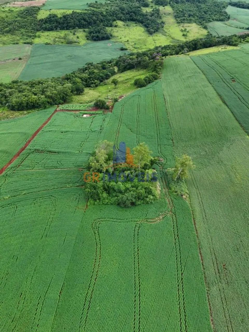 Sítio para Venda em Santa Amélia, Centro - Foto 3