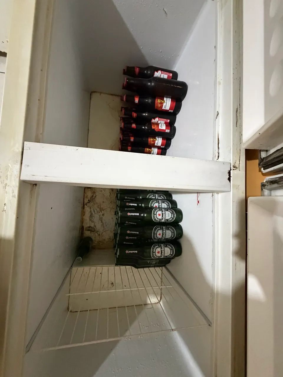 Freezer Grande Fricon - Foto 2