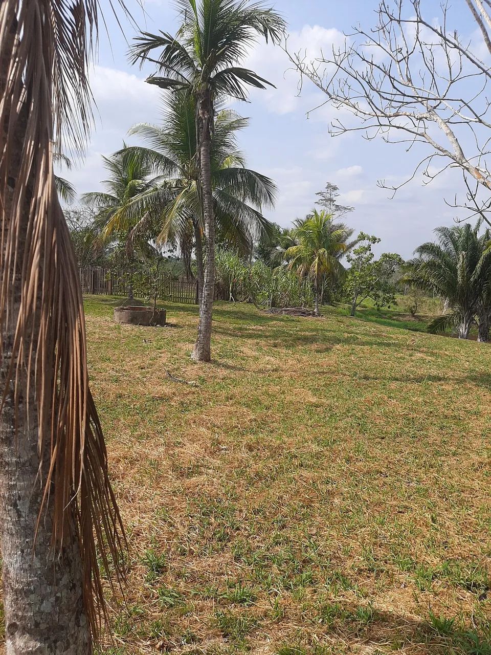 Vendo chácara no centro do bujari  - Foto 3