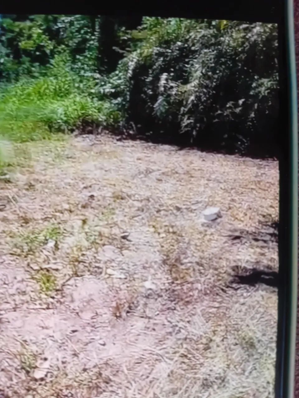 Dois terrenos no Rio miranda
