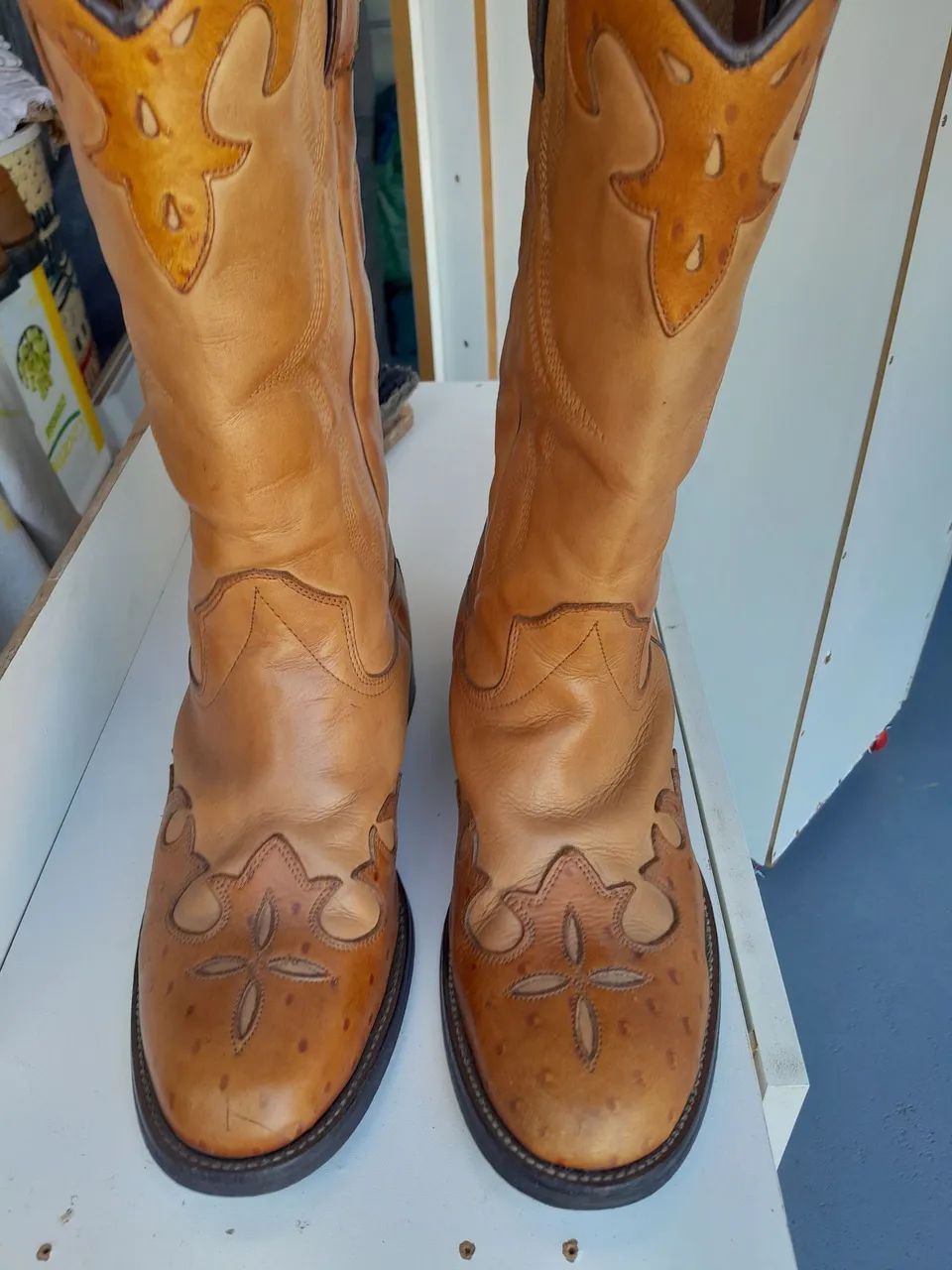 Bota/ Cano Longo