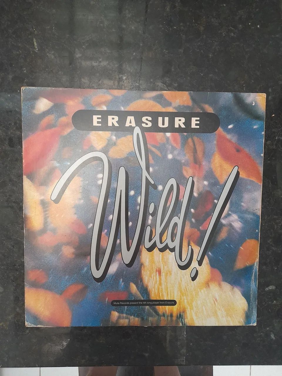 LP Vinil Erasure - Wild