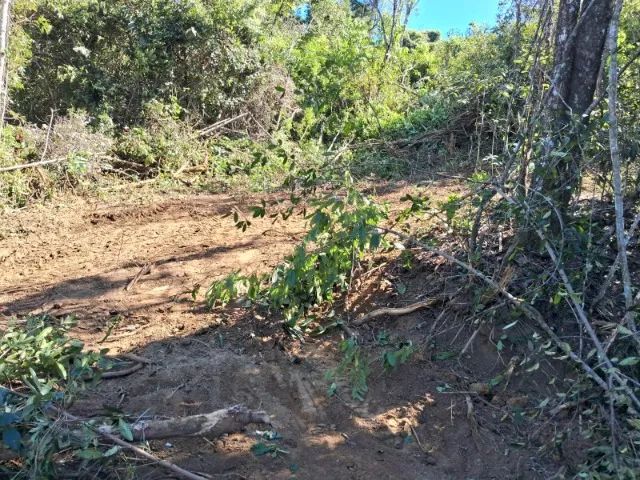 Chacára 2000mt em Bonfinópolis 7km da Cidade - Foto 4