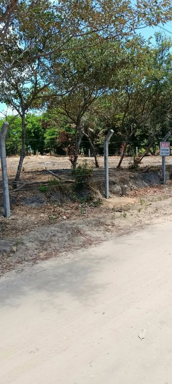 VENDO LINDO TERRENO EM SALINAS. - Foto 4