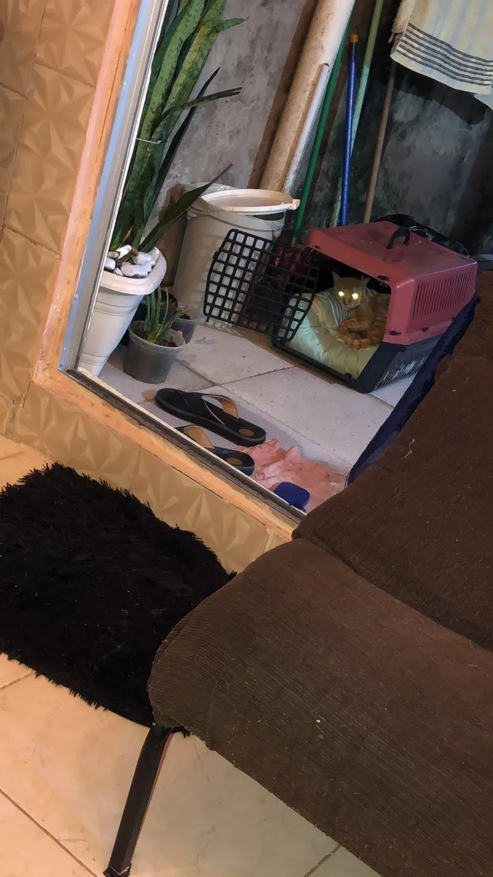 Casinha para pet 