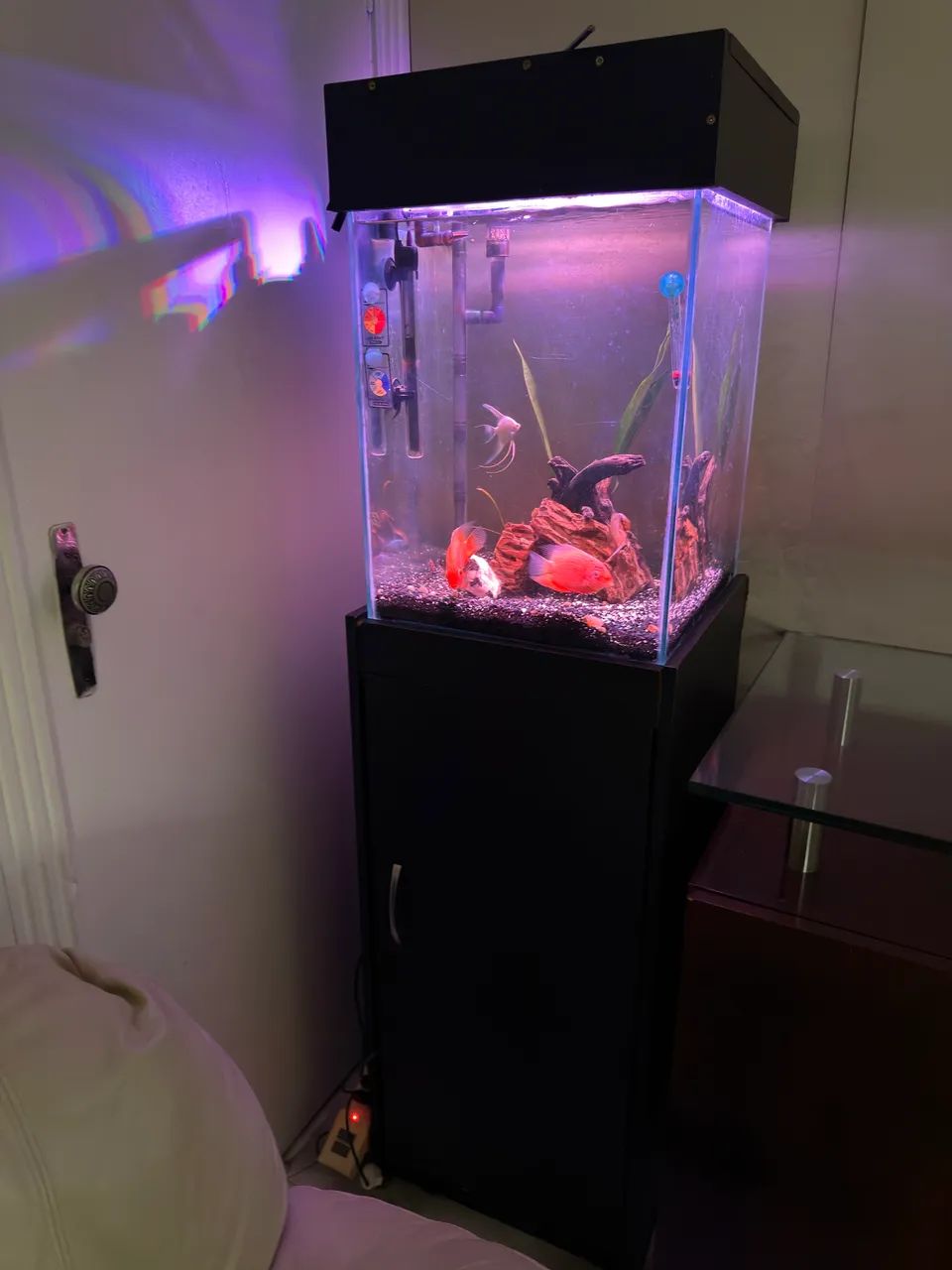 Aquario vivo 80 litros 