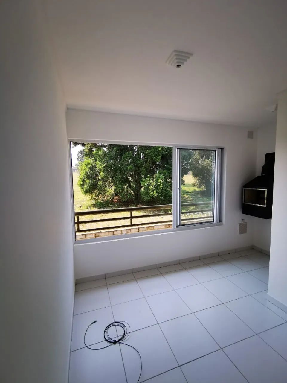 Foto - Araucária - Porto das Laranjeiras
