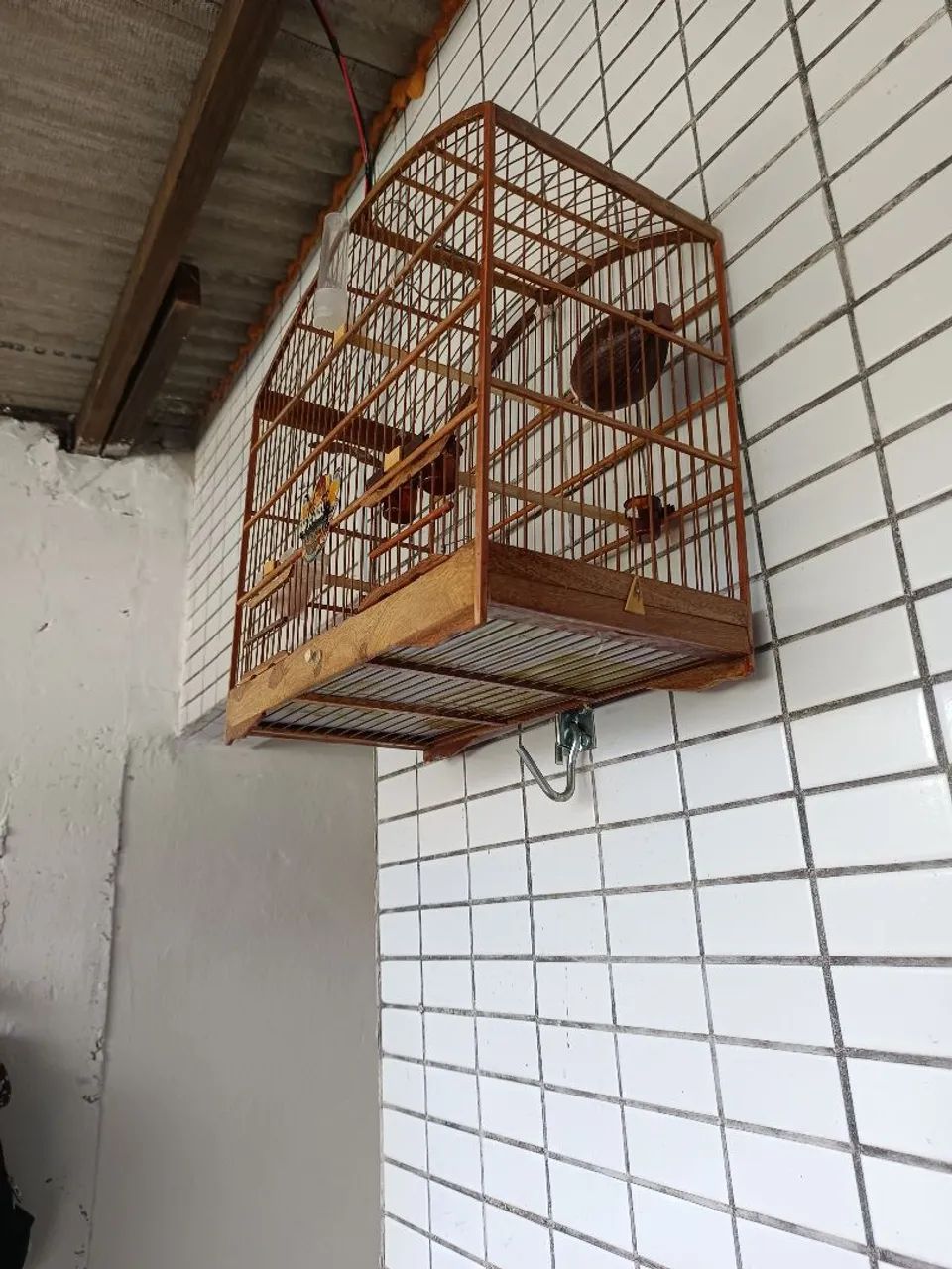 Gaiolas baianinha grande 