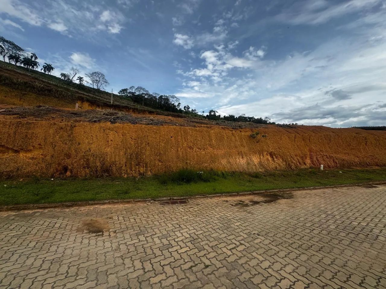 Lote / Terreno - Salvaterra - Foto 2