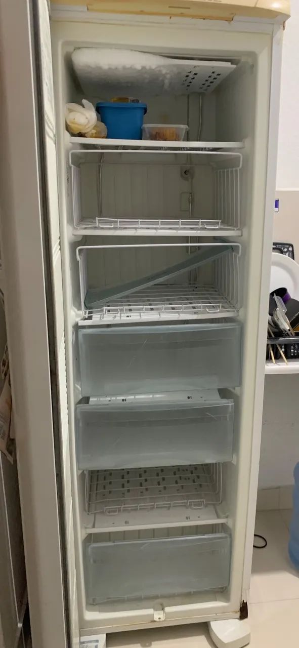 Freezer Eletrolucx - Foto 3
