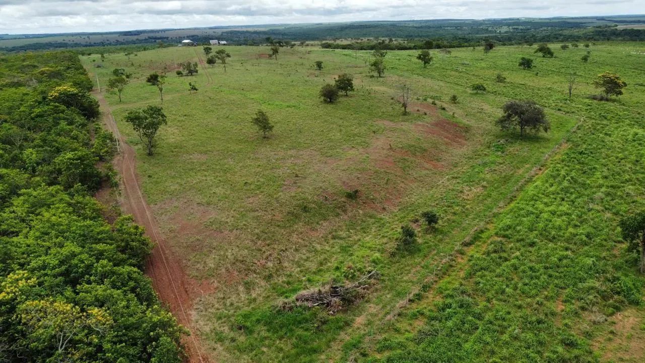 Terreno Rural Área rural à venda - 365 hectares - Terrenos, sítios e fazendas ...