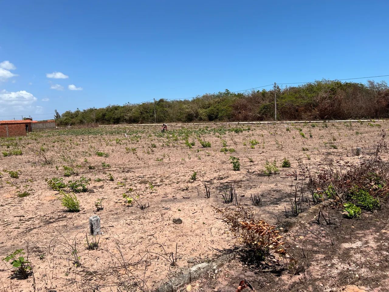 VENDO TERRENO EM LAGOINHA - PARAIPABA - Foto 3