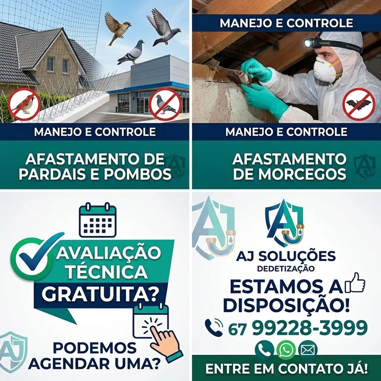 Dedetização de Pardais, Pombos e Morcegos 
