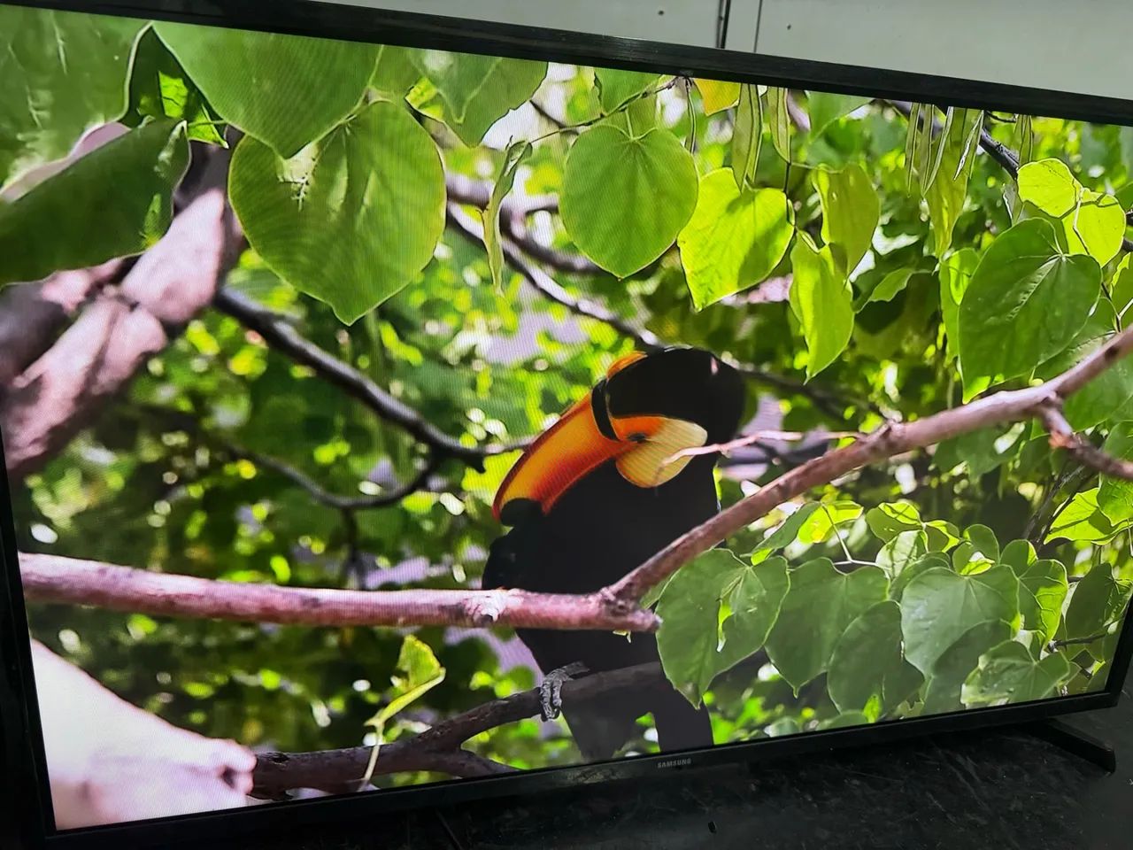 Tv led LG Smartv webos 32 polegadas seminova Wi-Fi Bluetooth