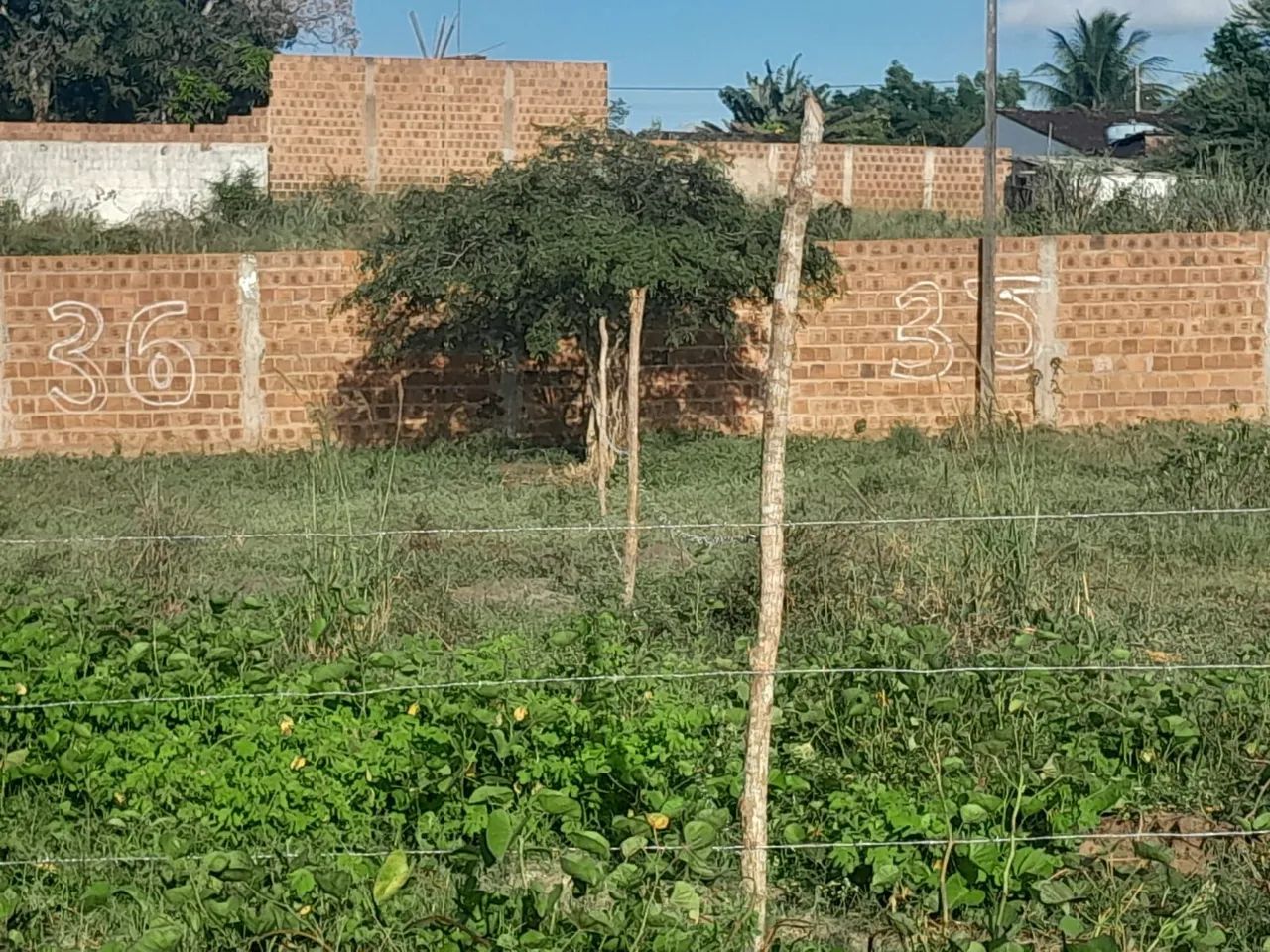 Lotes em Carpina  - Foto 3