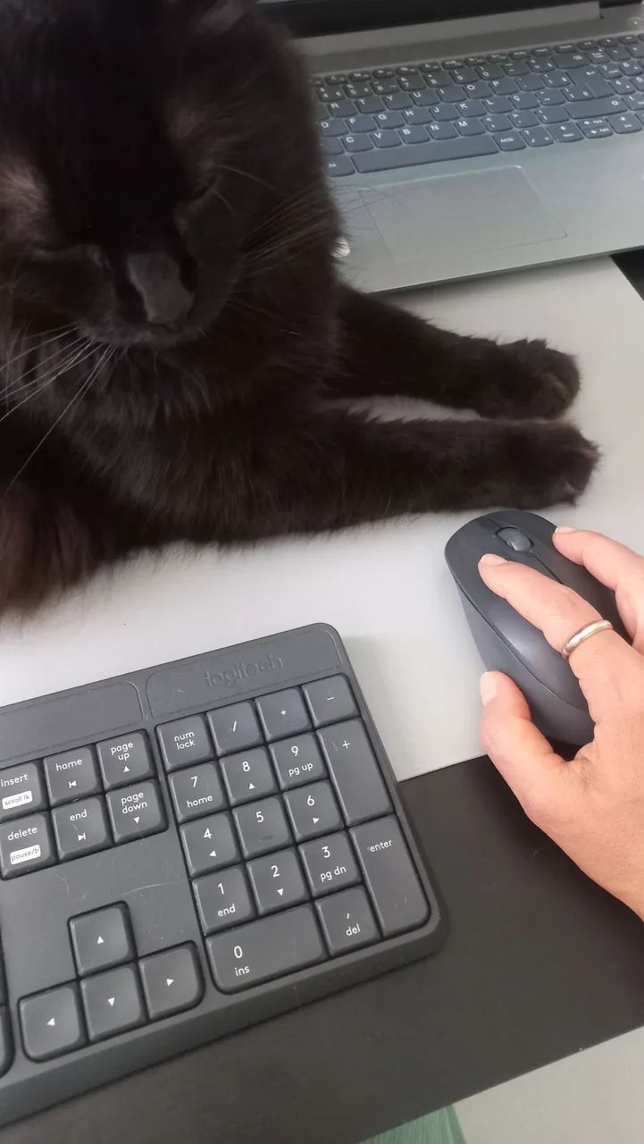Teclado Logitech  - Foto 2