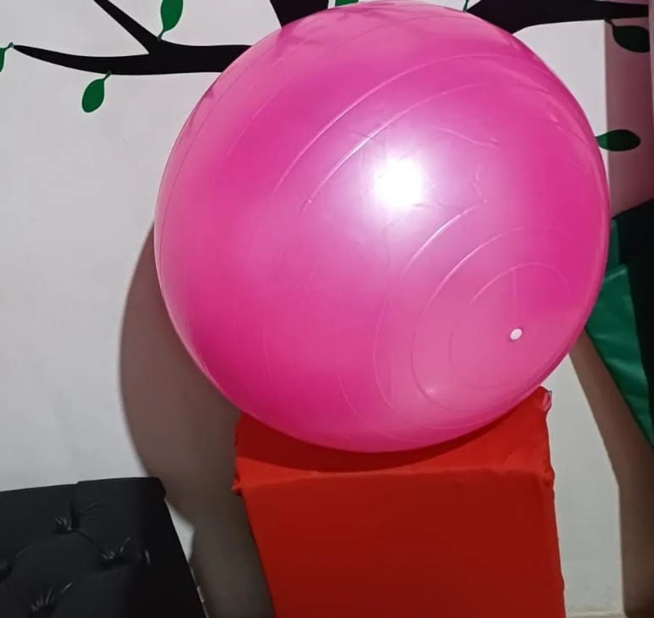 Bola de Pilates