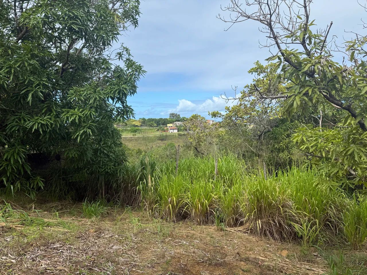 Vendo lote em Guaxuma  - Foto 2