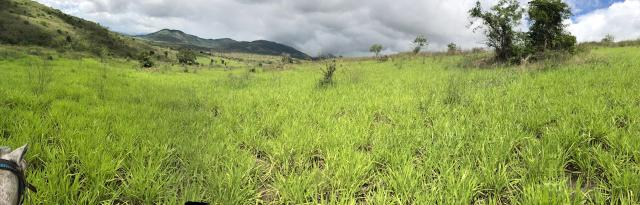 Fazenda de Gado linda de 882ha em Itapetinga Clima e solos Oportunidade - Foto 17