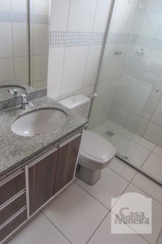 Casa à venda com 3 dormitórios em Caiçaras, Belo horizonte cod:221295 - Foto 5