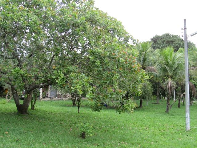 Caetano Imóveis - Sítio muito completo (jardinado, c/ piscina e salão de jogos!) - Foto 17