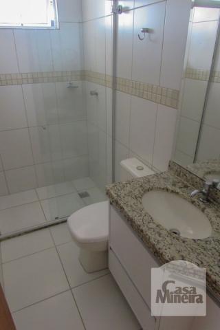 Casa à venda com 3 dormitórios em Caiçaras, Belo horizonte cod:221295 - Foto 4