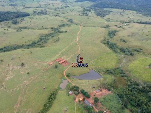 Belissima Fazenda Rural Espigão do oeste/RO - Foto 13