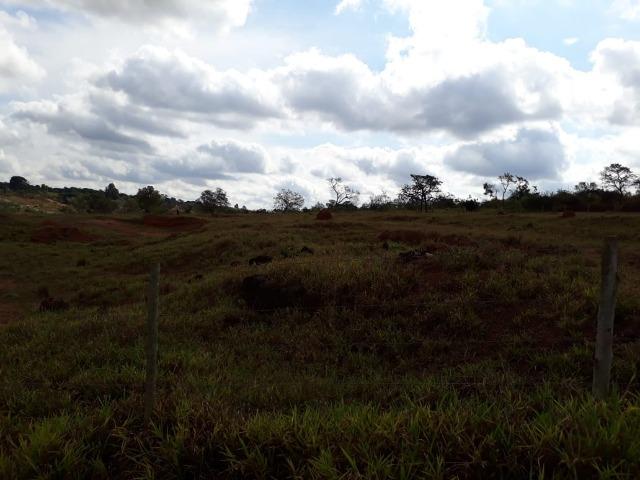 Vendo sitio 2 hectares (20.000 m2) - Foto 5