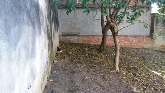 Terreno à venda, , nova gerty - são caetano do sul/sp - Foto 7