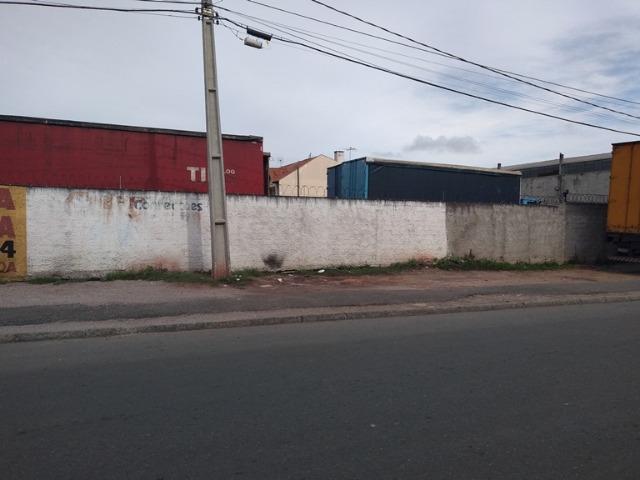 Terreno para investidores em São José dos Pinhais - Foto 6