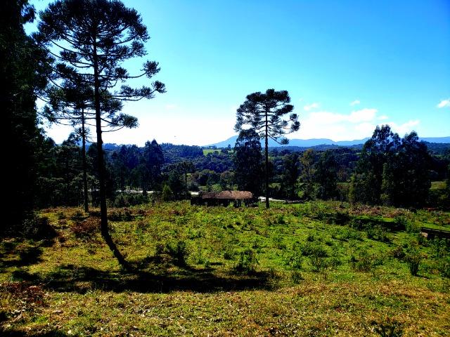 Belo Sítio com 30 hectares as Margens do Rio Canoas, em Rio Rufino