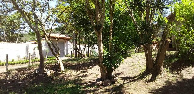 Sitio/ Chácara para Alugar/Palmeiras Suzano - Foto 5