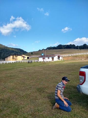 Haras de 30 alqueires com 48 baias e sede fantástica toda mobiliada - Foto 18