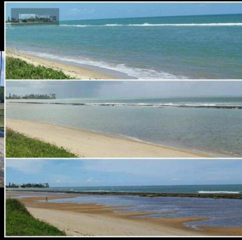 Oportunidade única! Terreno pé na areia de sonho verde - Foto 3