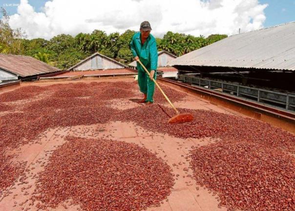 Fazenda para venda em itabuna, br 101, 3 dormitórios, 1 suíte, 3 banheiros - Foto 2