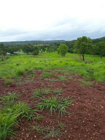 Chácara - Foto 5