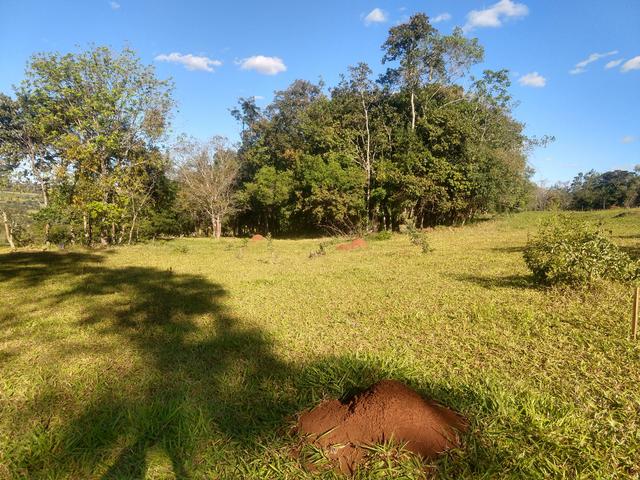 Vendo chácaras de 13.000 m2 - Foto 2